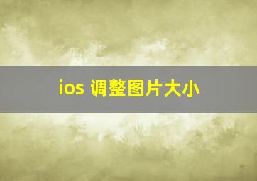 ios 调整图片大小